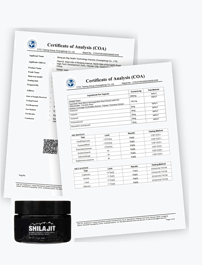 Shilajit : Lire un Certificat d'Analyse (Pureté, Acide Fulvique)